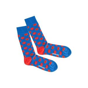 DillySocks Ponožky 'Lake Tomato' modré / červené vyobraziť