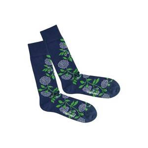 DillySocks Ponožky 'Botanical Dream' modré / zelená vyobraziť