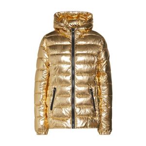 Champion Authentic Athletic Apparel Zimná bunda zlatá vyobraziť