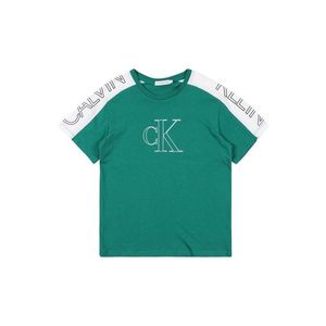 Calvin Klein Jeans Tričko 'COLOUR BLOCK LOGO SS' zelená vyobraziť