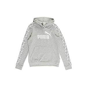 PUMA Športová mikina 'Amplified Hoody TR' biela / svetlosivá vyobraziť