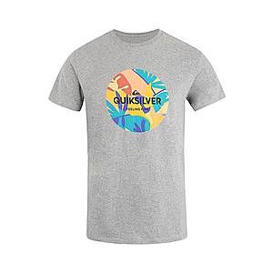 QUIKSILVER Funkčné tričko 'SUMMERSENDSS' zmiešané farby / sivá vyobraziť