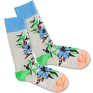 DillySocks Ponožky 'Old Flower' modrá / sivá vyobraziť