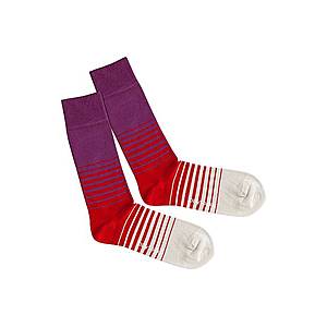 DillySocks Ponožky 'Heat Up' béžová / fialová / červená vyobraziť