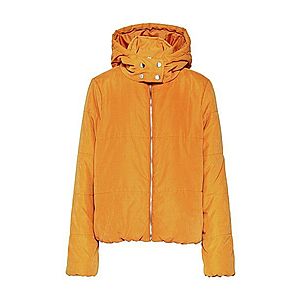VILA Zimná bunda 'VILEYDA L/S JACKET' zlatá žltá vyobraziť