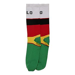 POLO RALPH LAUREN Ponožky zmiešané farby / biela vyobraziť