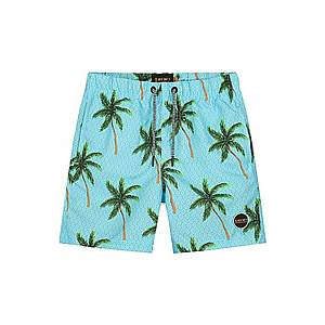 Shiwi Plavecké šortky 'palms' tyrkysová / zelená vyobraziť