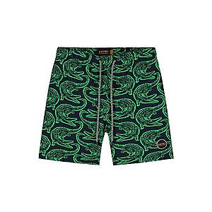 Shiwi Plavecké šortky zelená vyobraziť