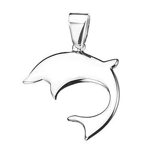 Oceľový delfín - lesklý prívesok R23.5 vyobraziť