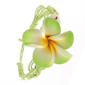 Svetlozelený pletený šnúrkový náramok s kvetom, dve lastúry S53.01 vyobraziť