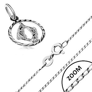 Strieborný náhrdelník 925 - lesklá retiazka, prívesok znamenia RYBY R40.25 vyobraziť