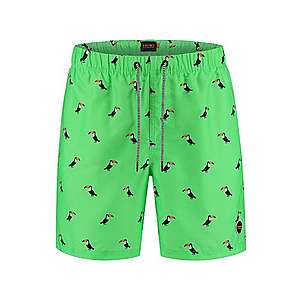 Shiwi Plavecké šortky zelená vyobraziť