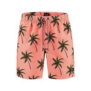 Shiwi Plavecké šortky 'palms' koralová / zelená vyobraziť