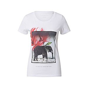 EINSTEIN & NEWTON Tričko 'Elephant' zmiešané farby / biela / ružová vyobraziť