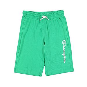 Champion Authentic Athletic Apparel Nohavice zelená vyobraziť