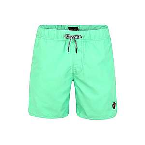 Shiwi Plavecké šortky 'Solid Mike' zelená vyobraziť