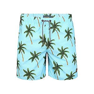 Shiwi Plavecké šortky 'palms' zelená / svetlomodrá vyobraziť