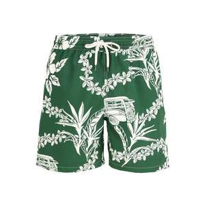 POLO RALPH LAUREN Plavecké šortky 'Traveler' zelená / biela vyobraziť