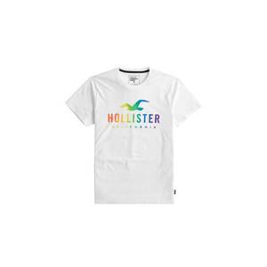 HOLLISTER Tričko 'Pride' biela vyobraziť