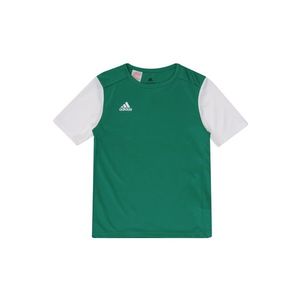 ADIDAS PERFORMANCE Funkčné tričko 'ESTRO 19' zelená / biela vyobraziť
