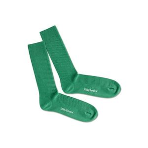DillySocks Ponožky zelená / biela vyobraziť