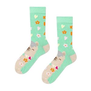 Ponožky Frogies Fluffy Llama vyobraziť