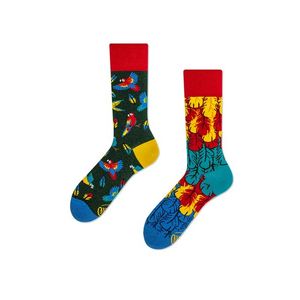 Viacfarebné vzorované ponožky Paradise Parrot vyobraziť
