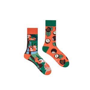 Zeleno-oranžové ponožky Squirrels vyobraziť