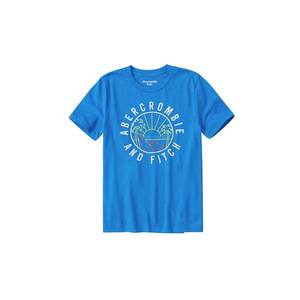 Abercrombie & Fitch Tričko 'JAN TECH LOGO 8CC' modrá / zmiešané farby vyobraziť
