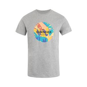 QUIKSILVER Funkčné tričko 'SUMMERSENDSS' zmiešané farby / sivá vyobraziť