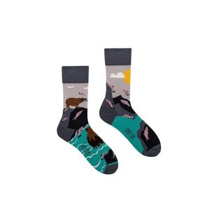 Viacfarebné ponožky Bears & Salmons vyobraziť