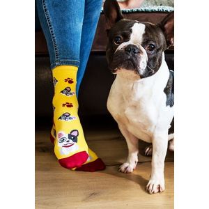 Žlté ponožky Francúzsky buldoček vyobraziť