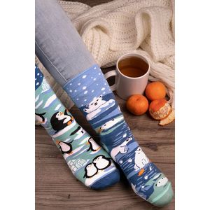Modré ponožky Penguins & Polar Bears vyobraziť