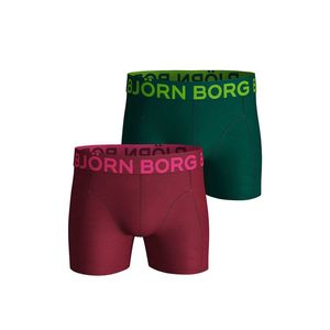 Pánske bordovo-zelené boxerky Neon Solid Sammy Shorts - dvojbalenie vyobraziť