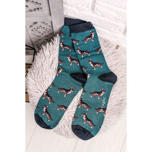 Pánske tyrkysové ponožky Hound Socks vyobraziť