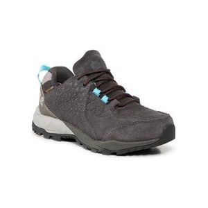 Jack Wolfskin Trekingová obuv Cascade Hike Lt Texapore Low W 4035521 Sivá vyobraziť