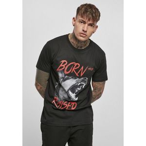 Mr. Tee Born & Raised Tee black - S vyobraziť