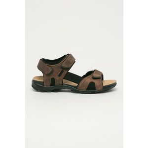 Kožené sandále Wojas pánske, hnedá farba vyobraziť