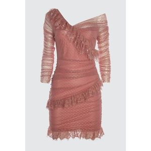 Trendyol Rose Dry Lace Detailed Tulle Dress vyobraziť