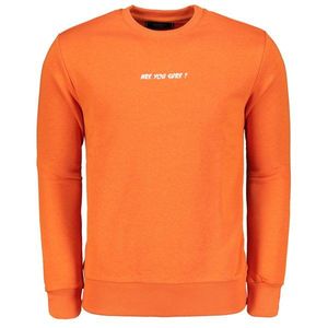 Ombre Clothing Men's printed sweatshirt B1215 vyobraziť