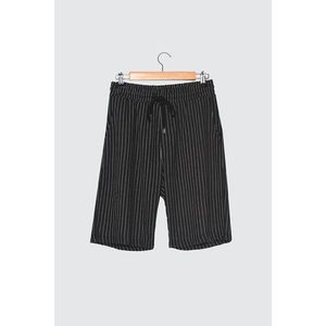 Trendyol Black Men's Regular Fit Striped Shorts & Bermuda vyobraziť