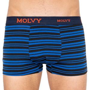 Men's multicolored boxers Molvy (MP-1022-BEU) vyobraziť