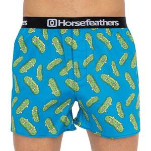 Men's shorts Horsefeathers Frazier pickles (AA1034N) vyobraziť