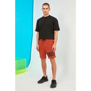 Trendyol Tile Men's Regular Fit Shorts & Bermuda vyobraziť