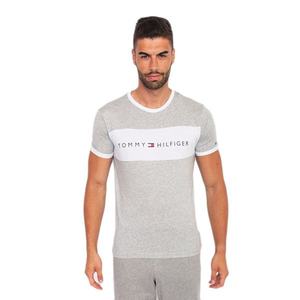 Men's T-shirt Tommy Hilfiger gray (UM0UM01170 004) vyobraziť