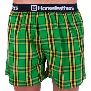 Men's shorts Horsefeathers Apollo brasil (AA536M) vyobraziť