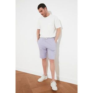 Trendyol Lila Men's Regular Fit Shorts & Bermuda vyobraziť