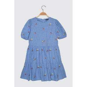 Trendyol Blue Embroidery Dress vyobraziť