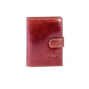 Brown leather wallet fastened with a latch vyobraziť