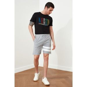Trendyol Grey Men's Regular Fit Panel shorts & bermuda vyobraziť